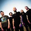 Allegaeon
