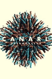 Arnold Turboust - Lafayette - Canari
