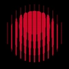 Year of No Light