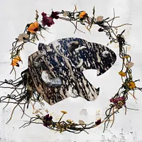 Code Orange