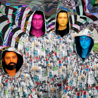 concert Animal Collective
