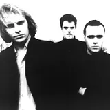 The Auteurs