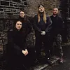 Ingested
