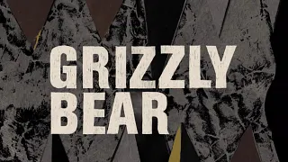 Grizzly Bear