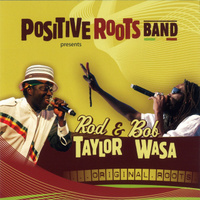 concert Positive Roots Band