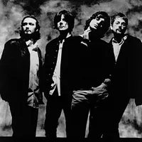 The Seahorses