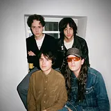 Beach Fossils