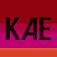 concert Kate Tempest