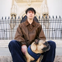 concert Panda Bear