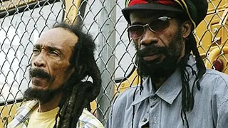 ISRAEL VIBRATION