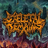 Skeletal Remains