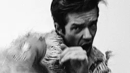 Brandon Flowers