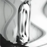 Ty Segall