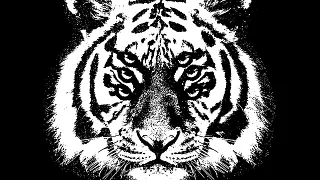 Royal Blood