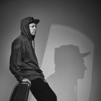 concert DJ Shadow