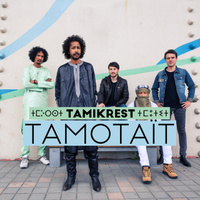 concert Tamikrest