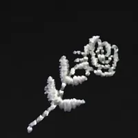 Shlohmo