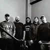 The Acacia Strain