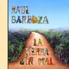 Raul Barboza