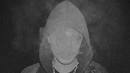 The Haunted Youth