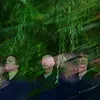 The Utopia Strong