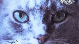 Shelter presents: OG Records (Kingsnight)