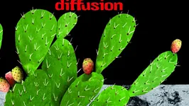 Gnawa Diffusion + Tiwiza — Interference
