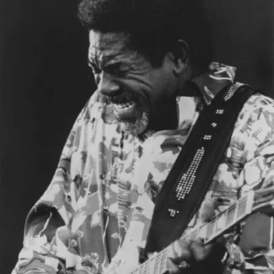 Luther Allison