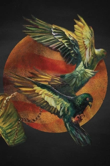 Protest The Hero