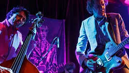 The Sadies