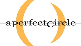 A Perfect Circle