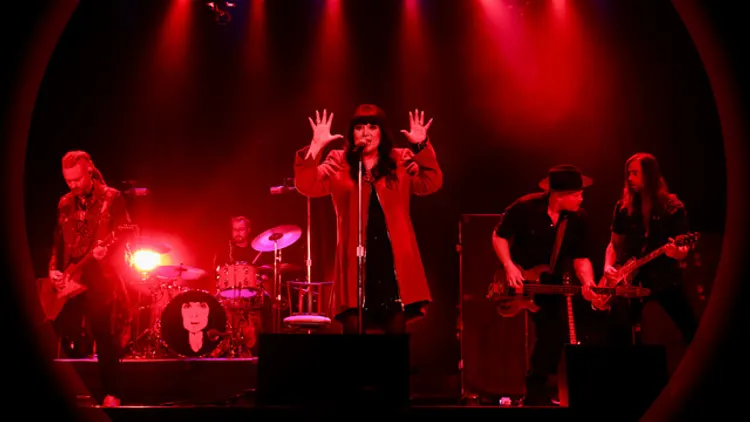 Ann Wilson: In My Voice