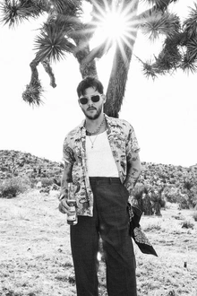 Wavves