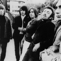 concert The Pretty Things