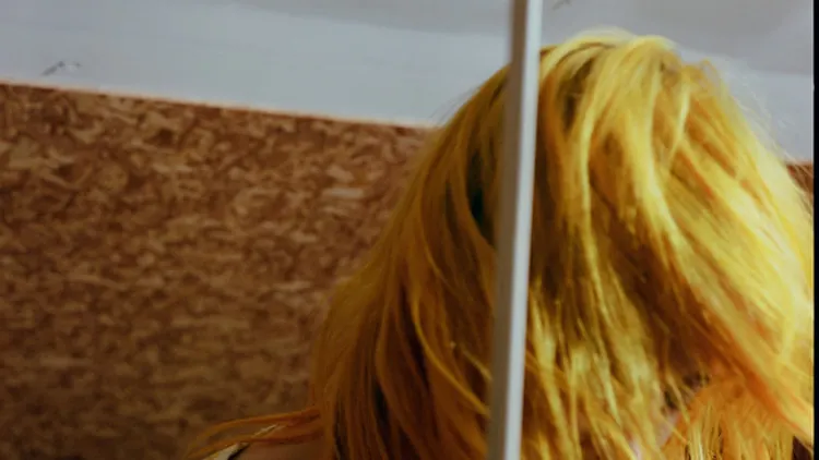 Hayley Williams