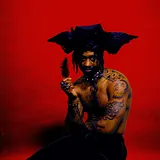 FREDDY FORBIDDEN