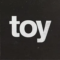 Toy