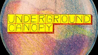 Underground Canopy + Samuel Paoli