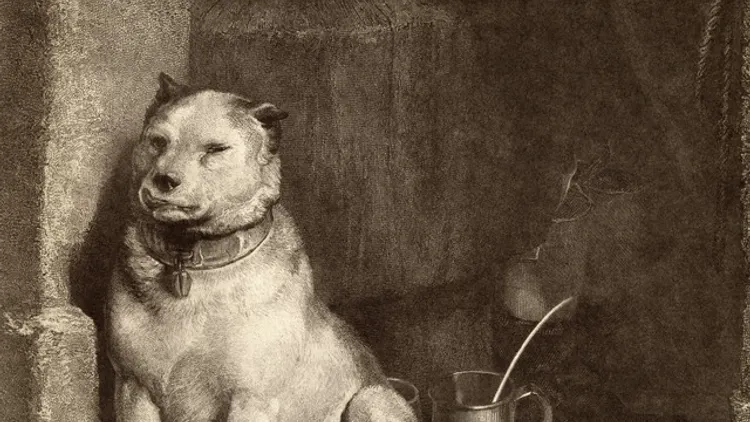 Pavlov's Dog (usa)