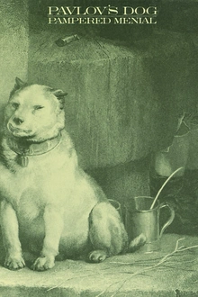PAVLOV'S DOG