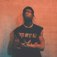 concert Travis Scott