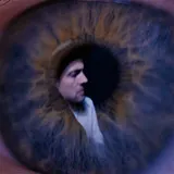 The Veils