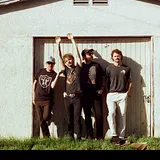 Molly Horses