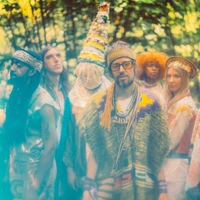 concert Crystal Fighters