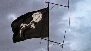 LIBERATO
