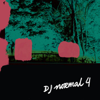 soirée DJ Normal 4
