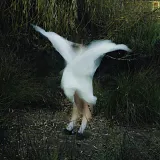 Nymphlord