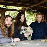 Fuzz