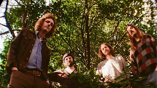 Triptides