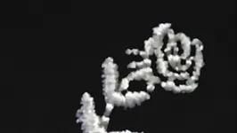 Shlohmo